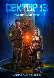 Сектор 13