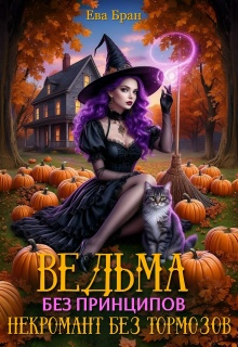 Ведьма без принципов, некромант без тормозов.