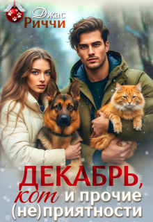 Декабрь, кот и прочие (не)приятности