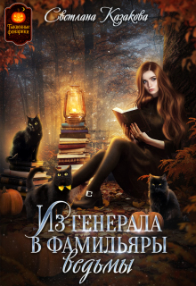 Из генерала в фамильяры ведьмы
