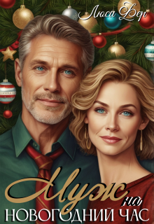 Муж на новогодний час