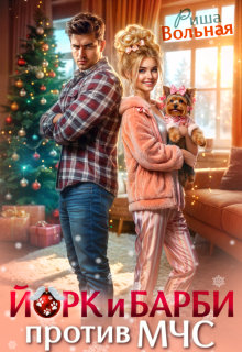 Йорк и Барби против Мчс