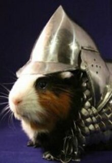 Мини мини подписочка подписка 2