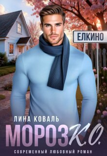 Мороз.К.О. — мэр Елкино