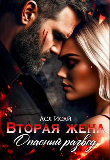 Вторая жена. Опасный развод